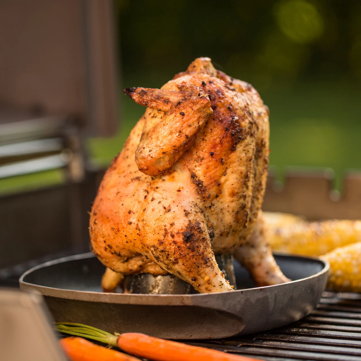 Weber Style Geflügelhalter – Bild 3